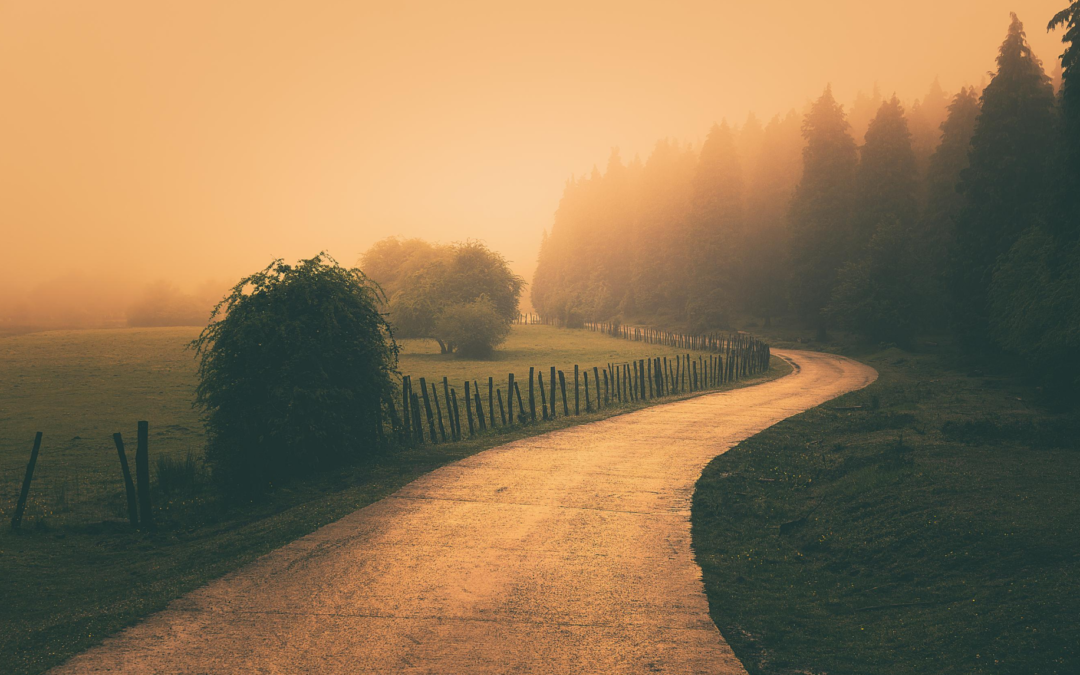 Moving Forward