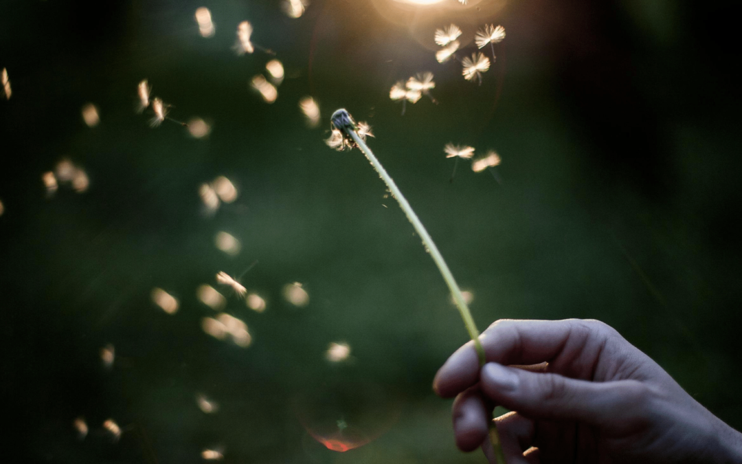 Letting Go Of Resentment
